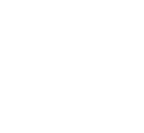 shape-17.png